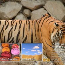 Website-Iwxindia,Technology-jquery,Framework-Javascript